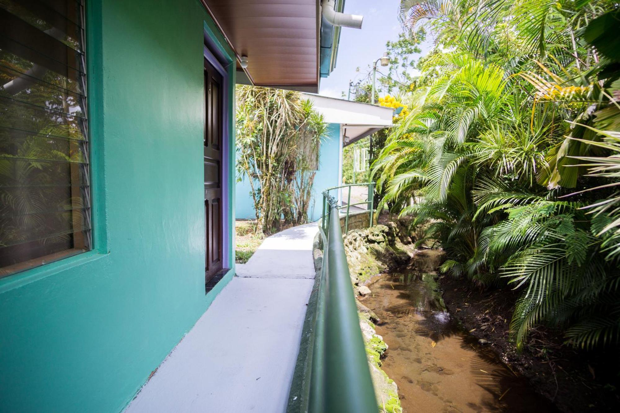 Pura Vibra Hostel La Fortuna Εξωτερικό φωτογραφία